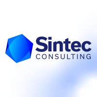 Business Consulting Intern