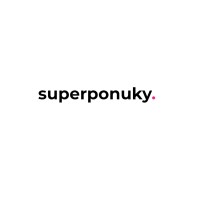 Co-founder & Lead Project Manager