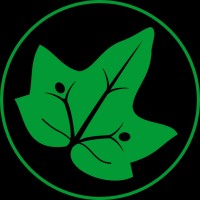 Fullstack Software Engineer