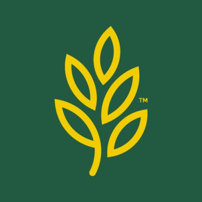 Social Media Manager