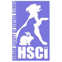 Director Of Development