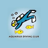 Diving Instructor