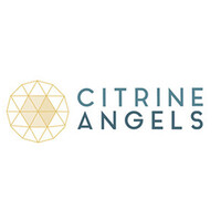 Angel Investor