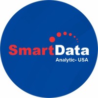 Senior Data Analyst