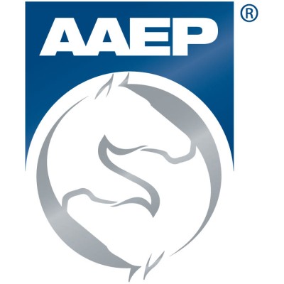 Director Of Finance And Operations