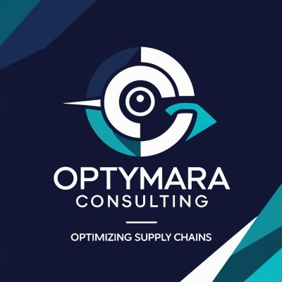 Senior Consultant Project Lead