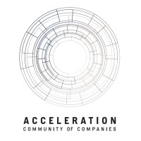VP Brand Partnerships- Pixly and Stripe Theory