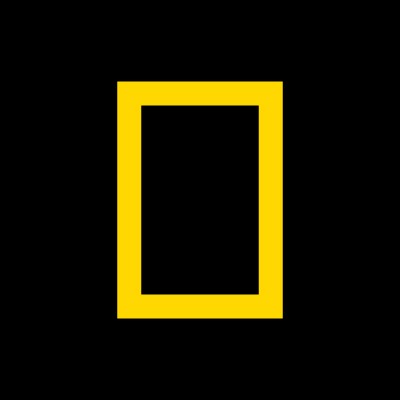 Marketing Manager
