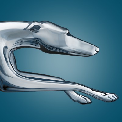 Database Developer