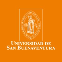 Analista de investigación