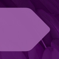Trainee Lawyer (second year)