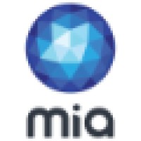 Analyst Programmer