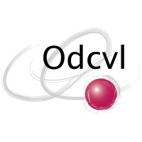 Directeur adjoint de séjour