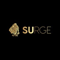 Social Media Manager | Data Entry Specialist