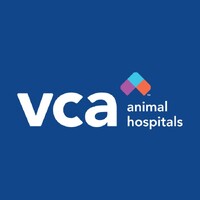 Vice President, Brand and Marketing