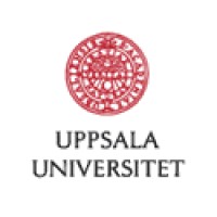 Teamledare, Uppdragsledning