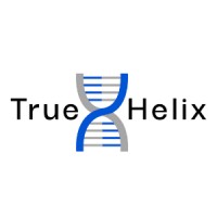 User Experience Designer | UX/UI | Mobile & Web