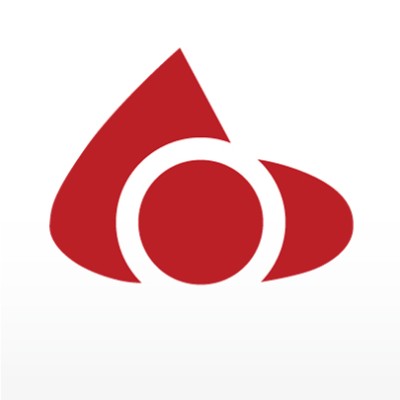 Senior Business Analyst