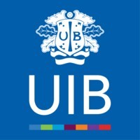 Senior Designer