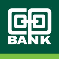 Enterprise Business Analyst