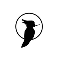 Business Consultant