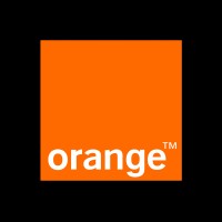 Customer Insights Analyst