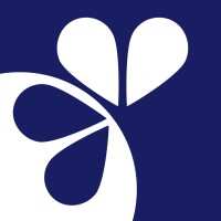 Consultor de ventas