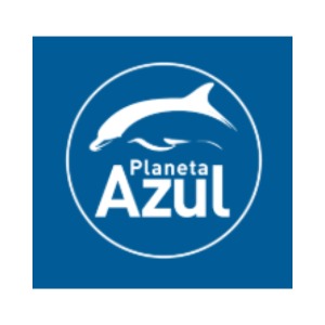 Diretora de 0perações / Diretora Comercial
