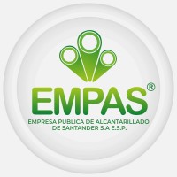 Asesor Externo de Gerencia