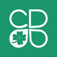 Marketing Team Lead