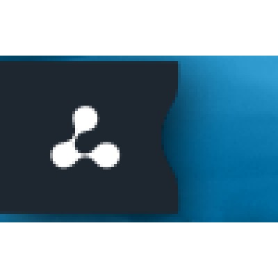 Senior Business Analyst