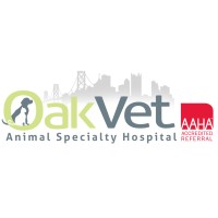 Administrative Assistant