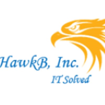 Lead Engineer