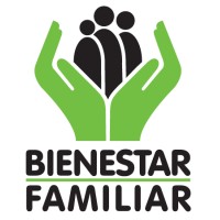 Videógrafo