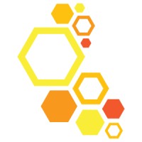 Experience & Efficiency Director
