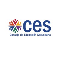 Ingeniero en Computacion