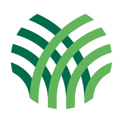 Senior IT Advisor