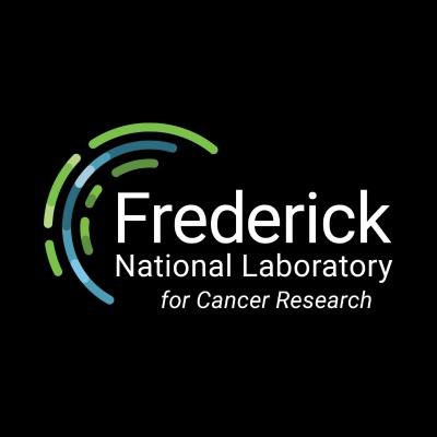 Post-doctoral Fellow