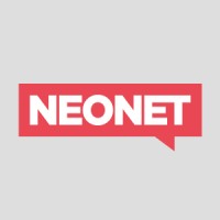 IT Project Manager/Product Manager