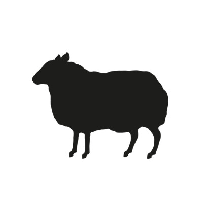 Group Account Director