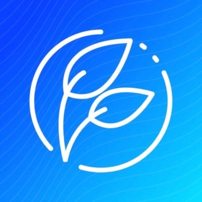 Nexus, Techniche Organizer