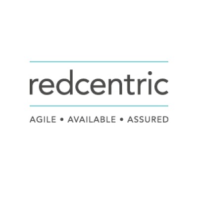 Project Services Director
