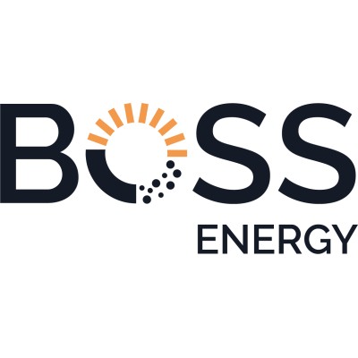 Country Manager Boss Resources/General Manager Boss Minerals