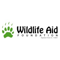 Volunteer