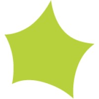 Lead Designer
