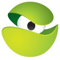 Information Technology Advisor