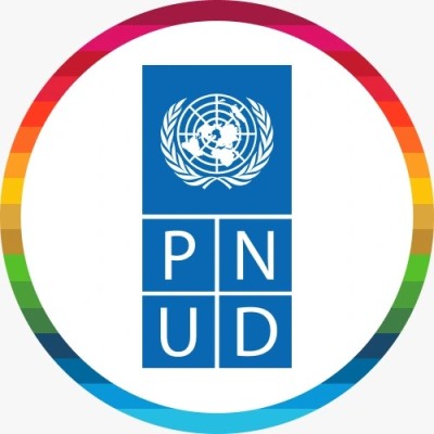 Consultor en cambio climático 