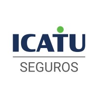 IT Consultant