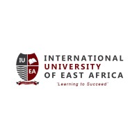 ICT Manager