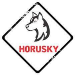 Sales & Customer Service Advisor